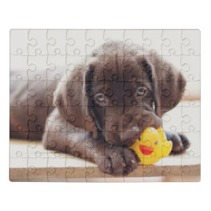 Cutest Baby Animals   Chocolate Labrador Puppy Jigsaw Puzzle
