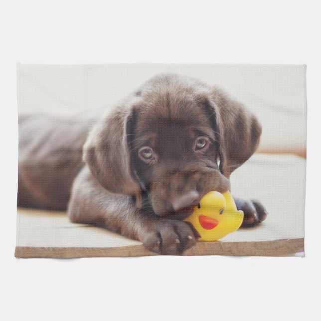 Cutest Baby Animals | Chocolate Labrador Puppy Kitchen Towel (Horizontal)