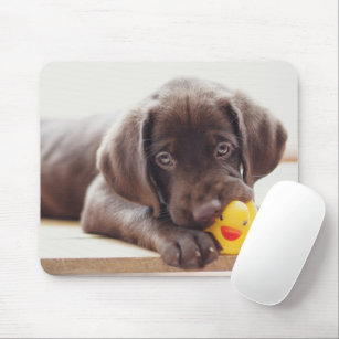 Cutest Baby Animals   Chocolate Labrador Puppy Mouse Pad