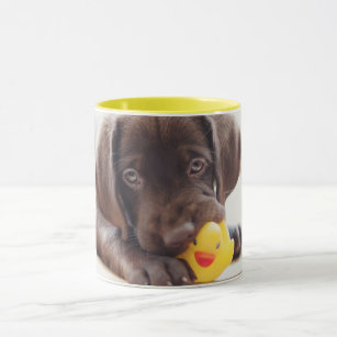 Cutest Baby Animals   Chocolate Labrador Puppy Mug