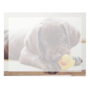 Cutest Baby Animals   Chocolate Labrador Puppy Notepad