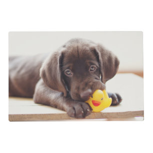 Cutest Baby Animals Chocolate Labrador Puppy Placemat