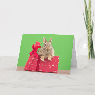 Cutest Baby Animals   Christmas Holiday Bunny Card