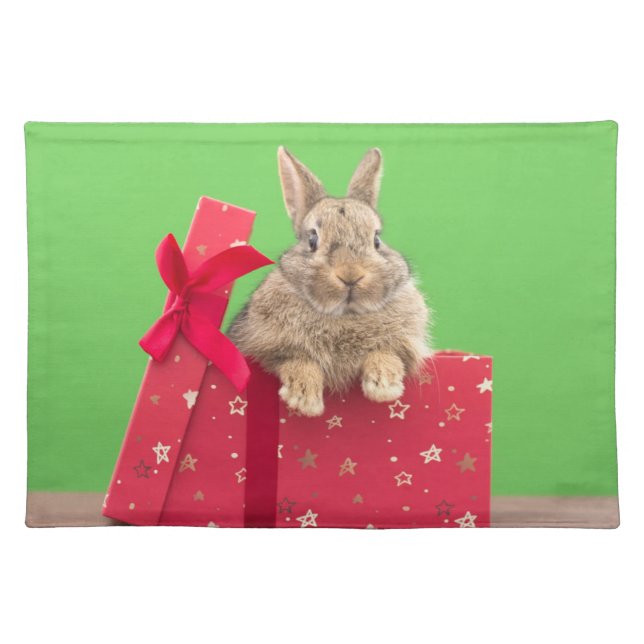 Cutest Baby Animals | Christmas Holiday Bunny Cloth Placemat (Front)