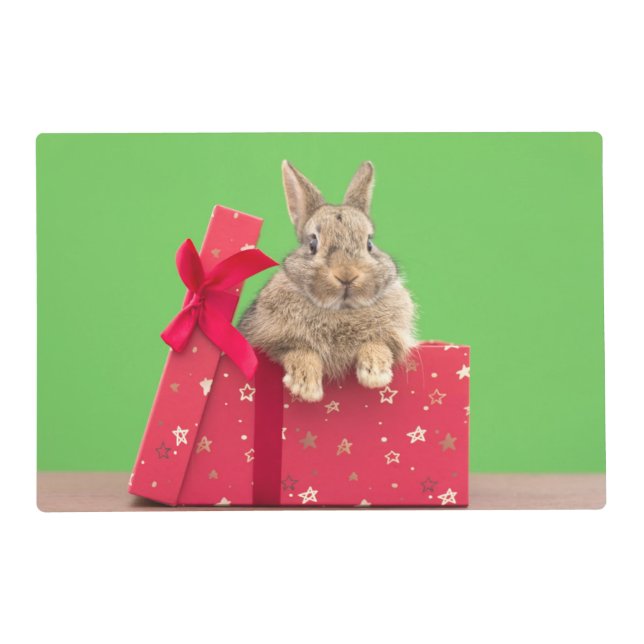 Cutest Baby Animals | Christmas Holiday Bunny Placemat (Front)