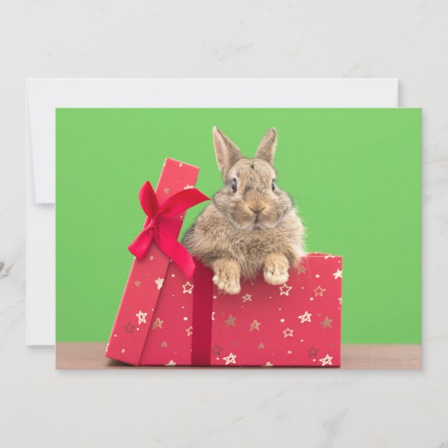 Cutest Baby Animals | Christmas Holiday Bunny Thank You Card (Front)