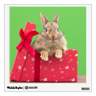 Cutest Baby Animals   Christmas Holiday Bunny Wall Decal