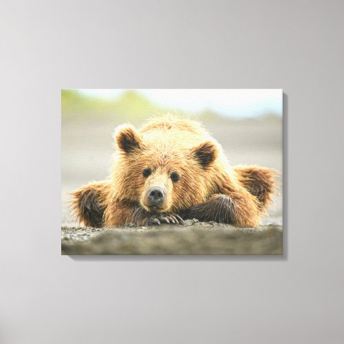 Cutest Baby Animals  Coastal Brown Bear Cub Canvas Print