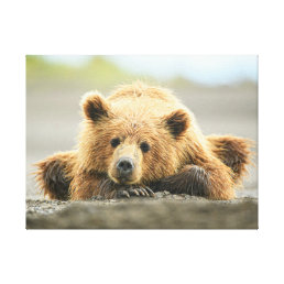 Cutest Baby Animals | Coastal Brown Bear Cub Canvas Print