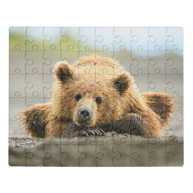 Cutest Baby Animals | Coastal Brown Bear Cub Jigsaw Puzzle (Puzzle Horizontal)