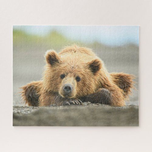 Cutest Baby Animals  Coastal Brown Bear Cub Jigsaw Puzzle