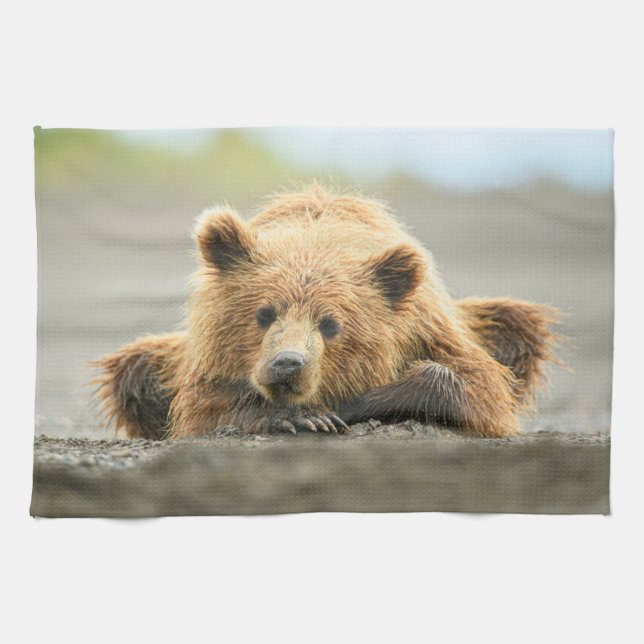 Cutest Baby Animals | Coastal Brown Bear Cub Kitchen Towel (Horizontal)