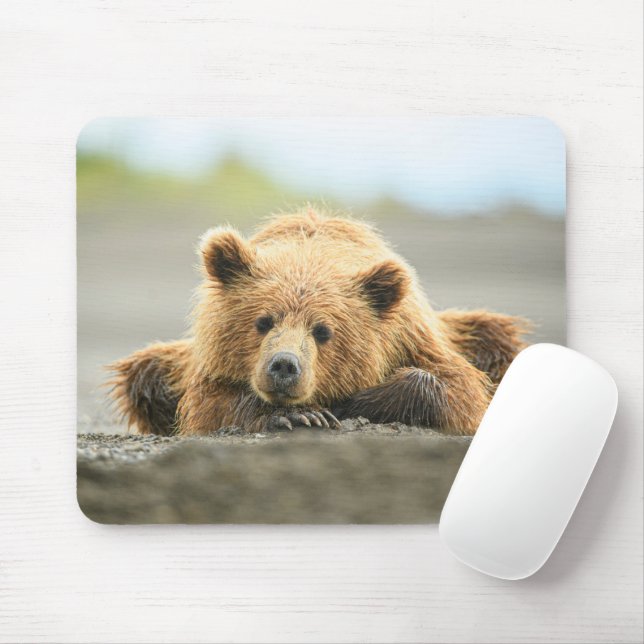 Cutest Baby Animals | Coastal Brown Bear Cub Mouse Pad (With Mouse)