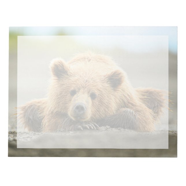 Cutest Baby Animals | Coastal Brown Bear Cub Notepad (Front)
