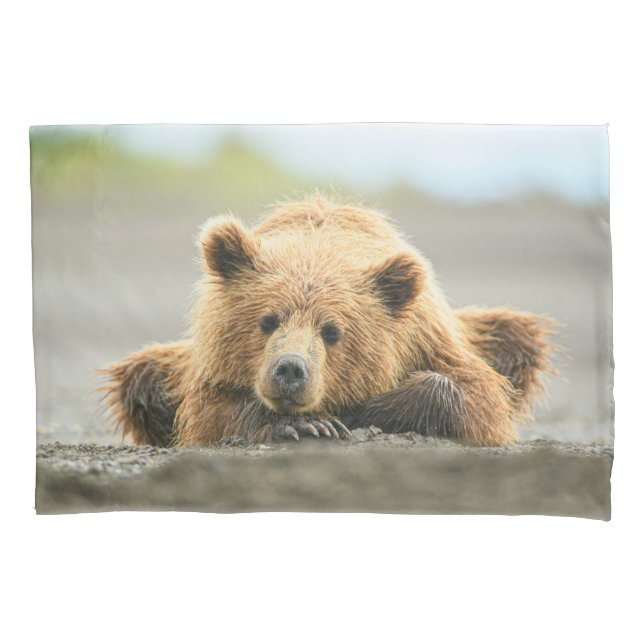 Cutest Baby Animals | Coastal Brown Bear Cub Pillow Case (Front)