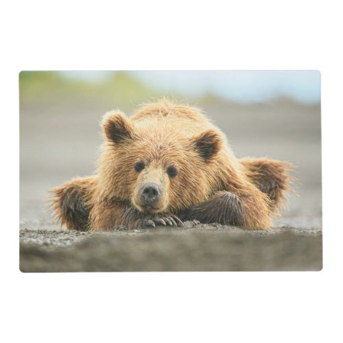 Cutest Baby Animals  Coastal Brown Bear Cub Placemat