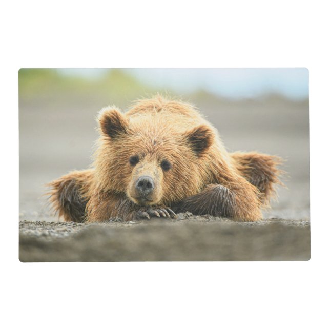 Cutest Baby Animals | Coastal Brown Bear Cub Placemat (Front)