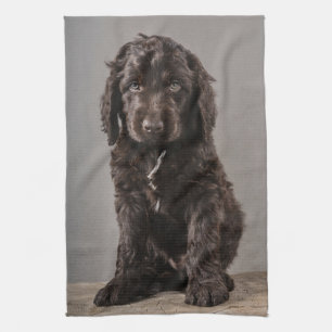 Cutest Baby Animals Cockapoo Puppy Kitchen Towel