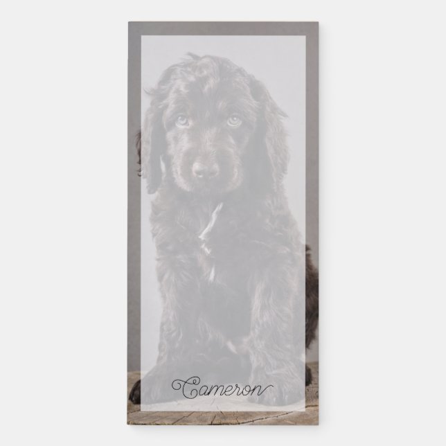 Cutest Baby Animals | Cockapoo Puppy Magnetic Notepad (Front)