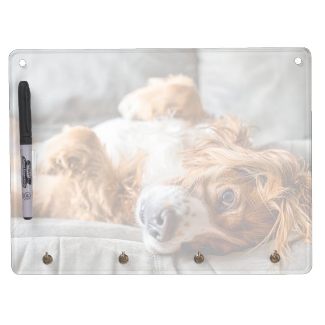 Cutest Baby Animals | Cocker Spaniel Dry Erase Board With Keychain Holder (Front)