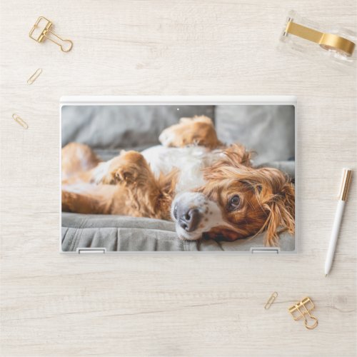 Cutest Baby Animals  Cocker Spaniel HP Laptop Skin