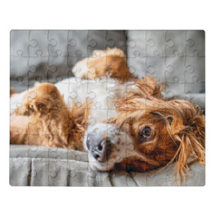 Cutest Baby Animals   Cocker Spaniel Jigsaw Puzzle