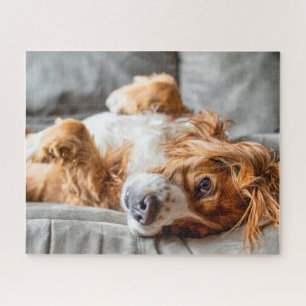 Cutest Baby Animals Cocker Spaniel Jigsaw Puzzle