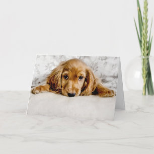 Cutest Baby Animals Cocker Spaniel Puppy Card