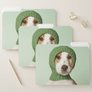 Cutest Baby Animals   Cocker Spaniel Puppy File Folder
