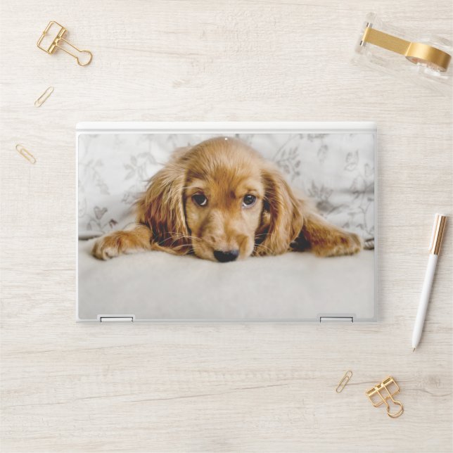 Cutest Baby Animals | Cocker Spaniel Puppy HP Laptop Skin (Desk)