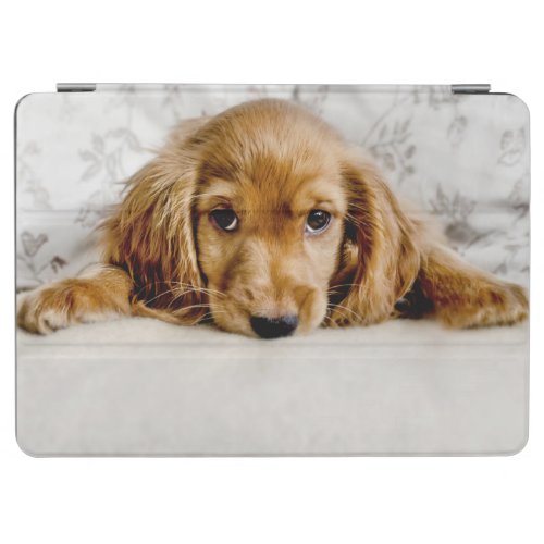 Cutest Baby Animals  Cocker Spaniel Puppy iPad Air Cover