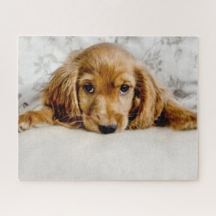 Cutest Baby Animals Cocker Spaniel Puppy Jigsaw Puzzle