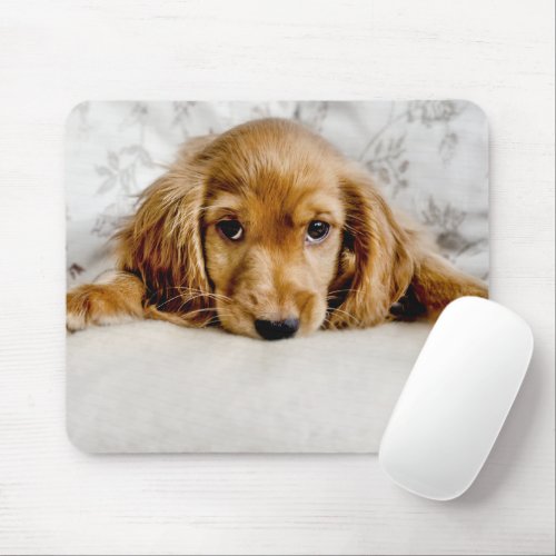 Cutest Baby Animals  Cocker Spaniel Puppy Mouse Pad