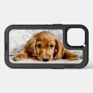 Cutest Baby Animals Cocker Spaniel Puppy iPhone 13 Case