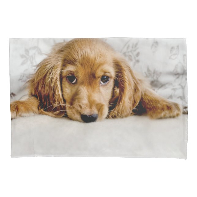 Cutest Baby Animals | Cocker Spaniel Puppy Pillow Case (Front)