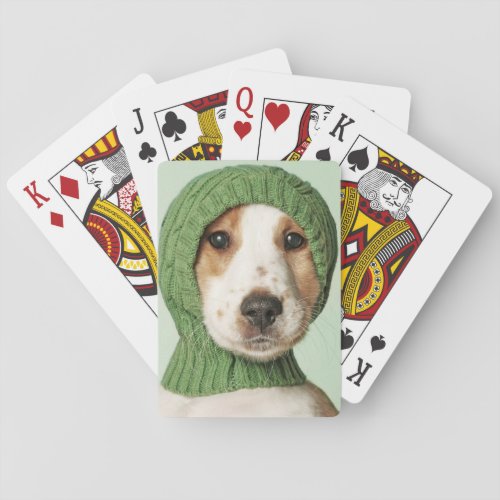 Cutest Baby Animals  Cocker Spaniel Puppy Playing Cards