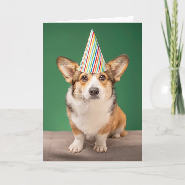 Cutest Baby Animals | Corgi Birthday Puppy Card (Front)
