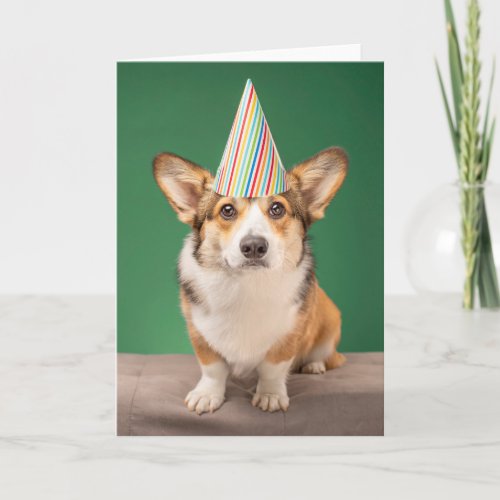 Cutest Baby Animals  Corgi Birthday Puppy Card