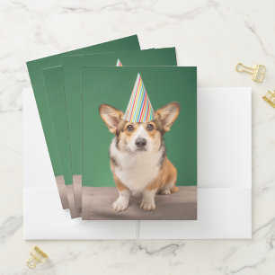 Cutest Baby Animals   Corgi Birthday Puppy Pocket Folder