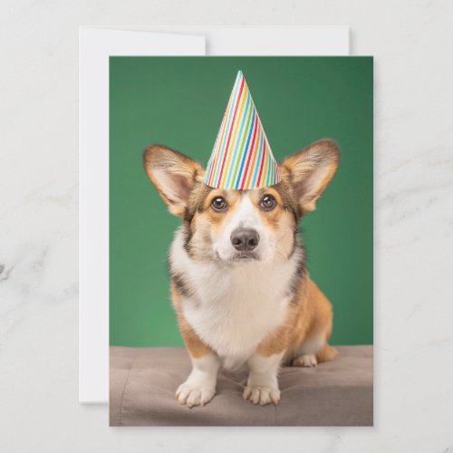 Cutest Baby Animals  Corgi Birthday Puppy Thank You Card