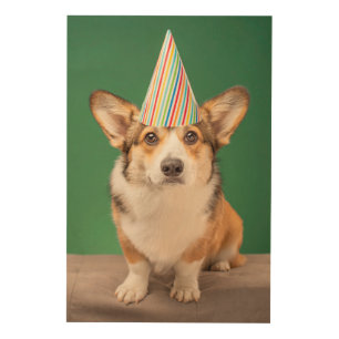 Cutest Baby Animals Corgi Birthday Puppy Wood Wall Art