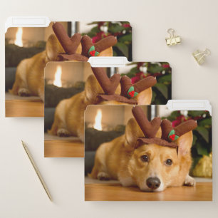 Cutest Baby Animals   Corgi Christmas Reindeer File Folder