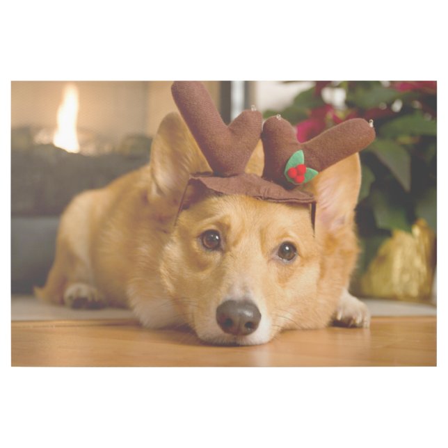 Cutest Baby Animals | Corgi Christmas Reindeer Gallery Wrap (Front)