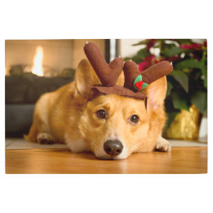 Cutest Baby Animals Corgi Christmas Reindeer Metal Print