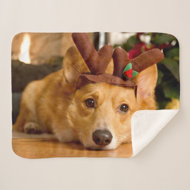Cutest Baby Animals | Corgi Christmas Reindeer Sherpa Blanket (Front (Horizontal))