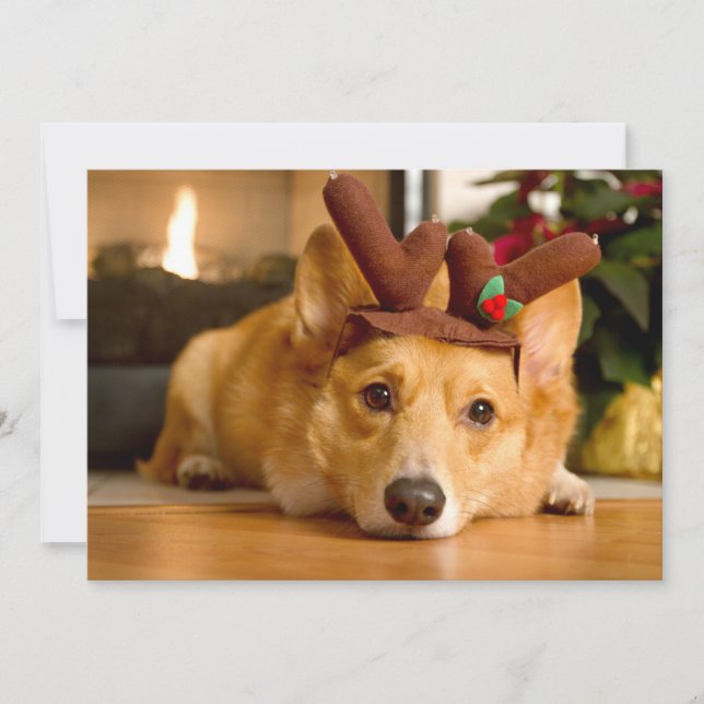Cutest Baby Animals | Corgi Christmas Reindeer Thank You Card (Front)