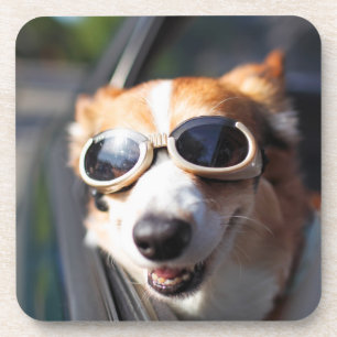 Cutest Baby Animals   Corgi Goggles in the Car Beverage Coaster