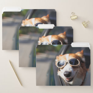 Cutest Baby Animals   Corgi Goggles in the Car File Folder