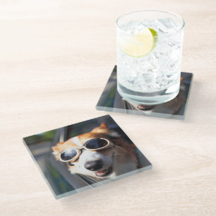 Cutest Baby Animals Corgi Goggles in the Car Glass Coaster