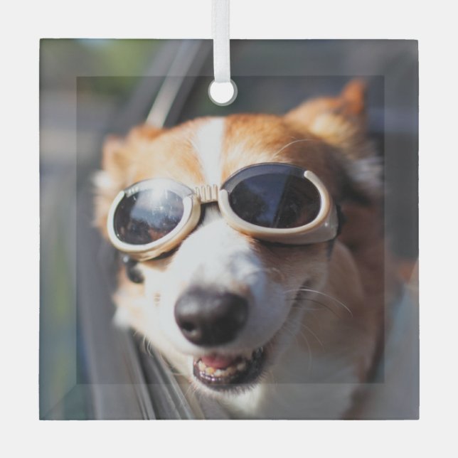 Cutest Baby Animals | Corgi Goggles in the Car Glass Ornament (Front)